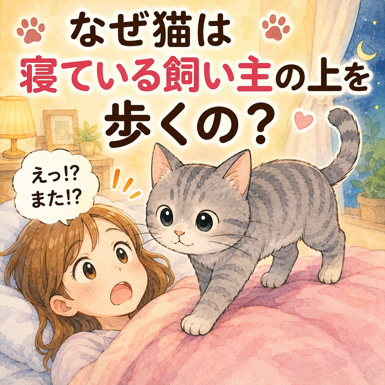 上を歩く
